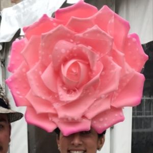 Arturo Rios rose fascinator